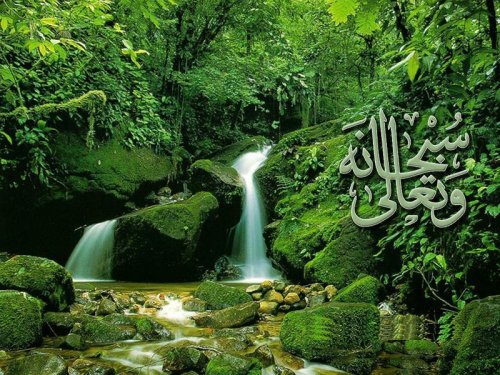 green-islamic-wallpaper